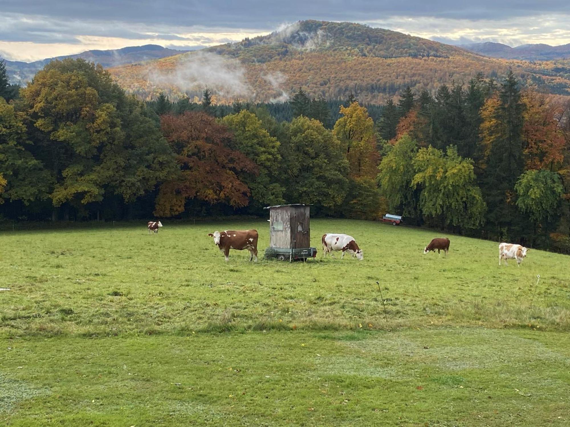 Landhaus Ingeborg Poppenhausen Exteriör bild